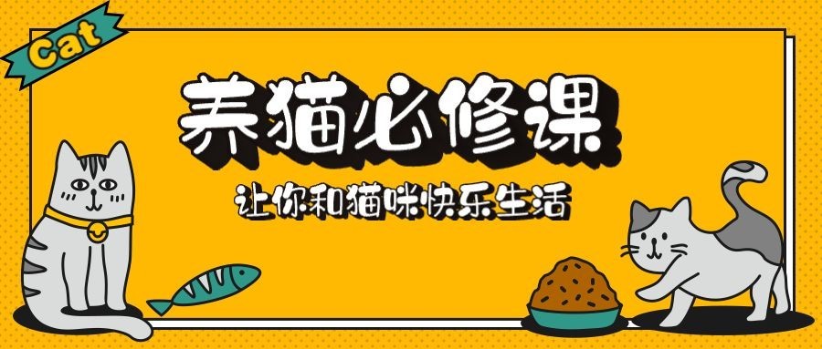 养猫必修课3D字体公众号首图预览效果