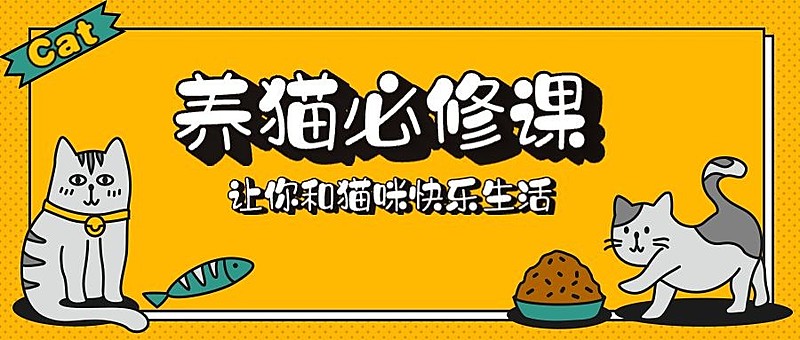 养猫必修课3D字体公众号首图
