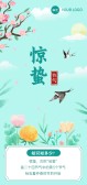 模板缩略图
