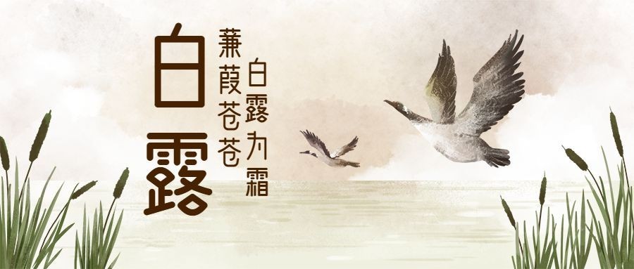 白露/文艺/中国风/公众号首图预览效果