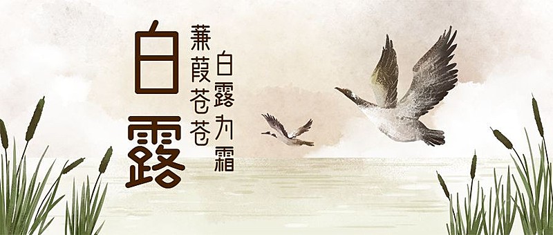 白露/文艺/中国风/公众号首图