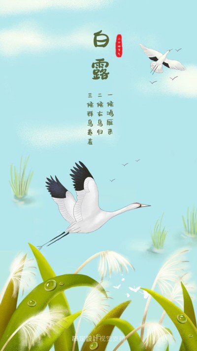 白露传统节气祝福插画