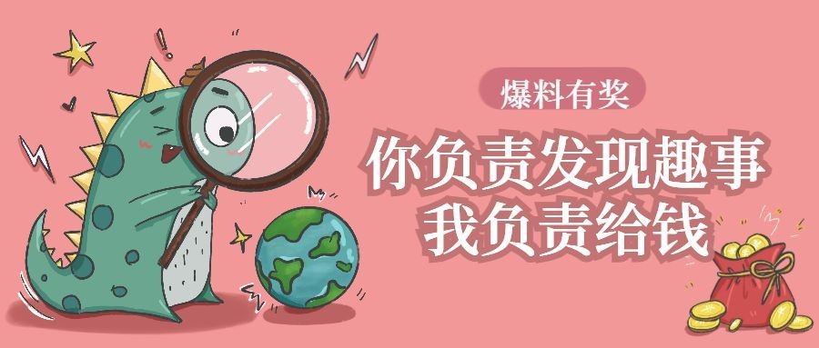 爆料有奖/小恐龙查找/发现/公众号首图预览效果