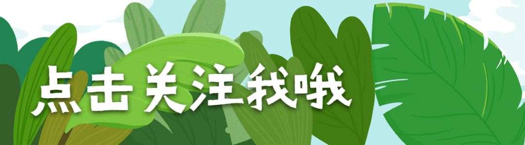 清新卡通猫引导关注GIF动图模版预览效果