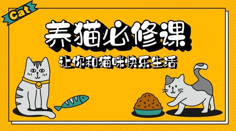养猫必修课3D字体横版海报预览效果