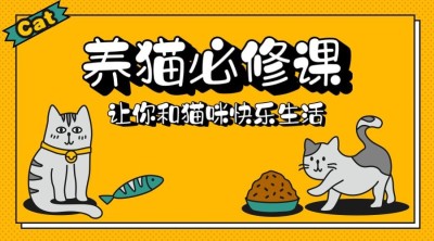 养猫必修课3D字体横版海报