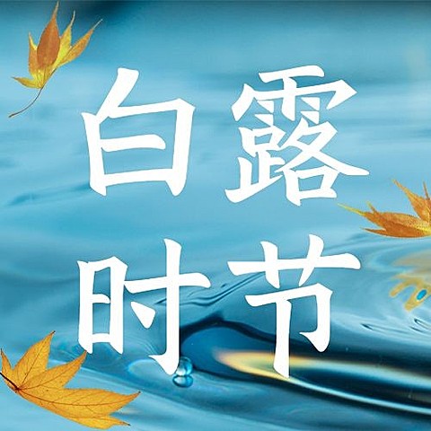 白露节气祝福枫叶实景公众号次图