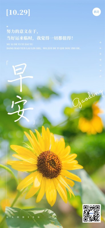 企业日签清新感实景风全屏竖版海报预览效果