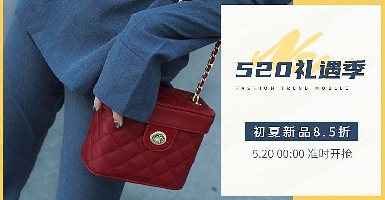 520礼遇季/女包海报