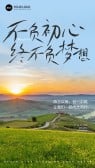 模板缩略图