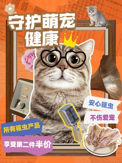 宠物产品宣传小红书封面
