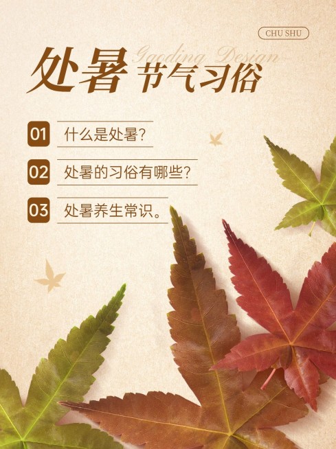 处暑节气习俗科普小红书套装小红书封面预览效果