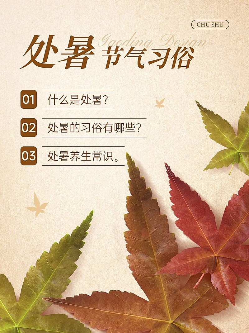 处暑节气习俗科普小红书套装小红书封面