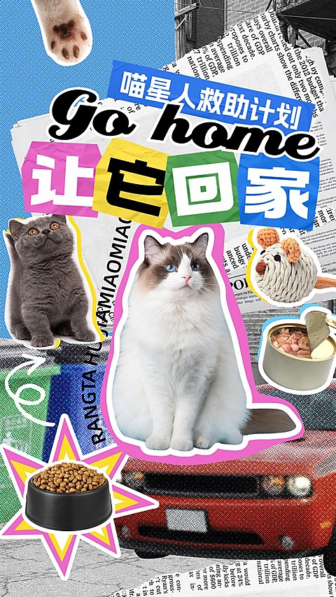宠物救助宣传竖版视频封面