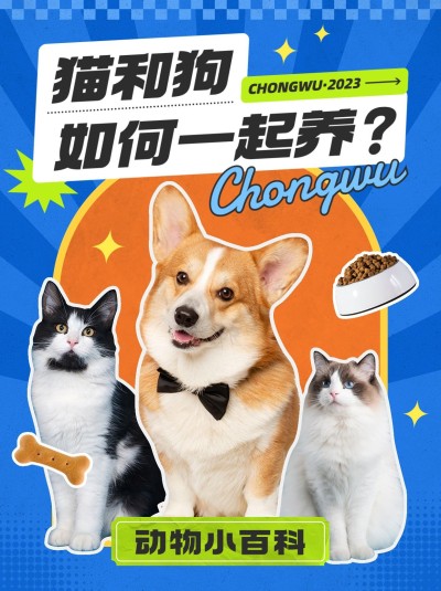 宠物知识攻略科普小红书封面