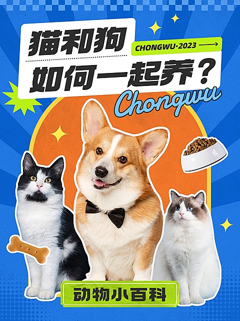 宠物知识攻略科普小红书封面