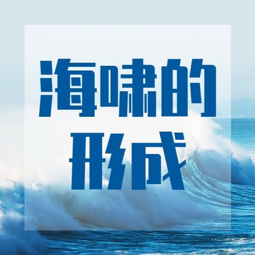 世界海啸日自然灾害科普预防实景公众号次图预览效果