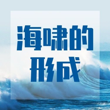 世界海啸日自然灾害科普预防实景公众号次图