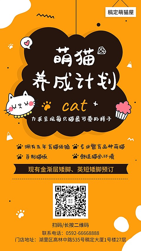 宠物萌猫养成手机海报