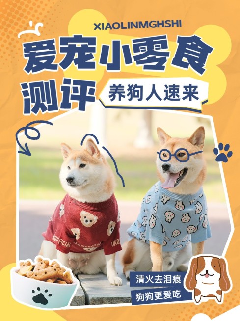 宠物狗粮测评小红书套装小红书封面预览效果