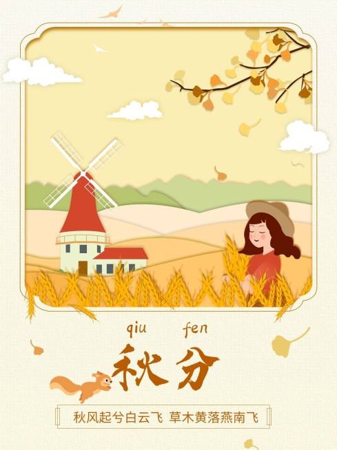 秋分节气科普手绘插画小红书套装小红书封面预览效果