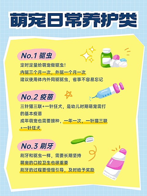 宠物养宠知识科普小红书套装小红书配图