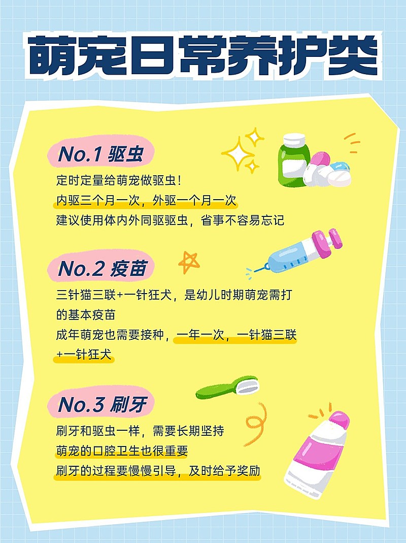 宠物养宠知识科普小红书套装小红书配图