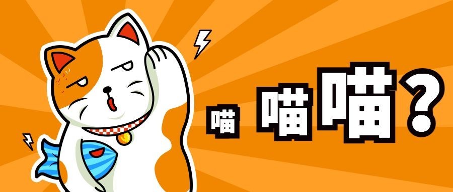 创意/猫/卡通漫画公众号首图预览效果