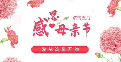 母亲节清新风海报
