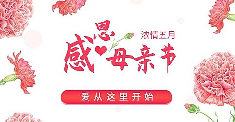 母亲节清新风海报