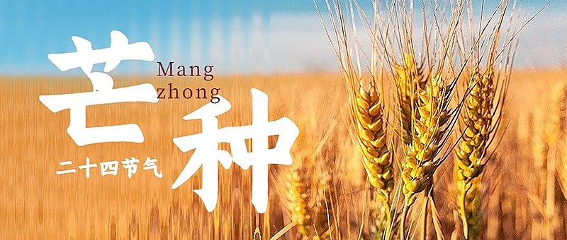 旅游芒种节气祝福长虹玻璃风公众号首图