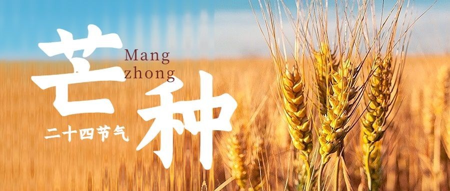 旅游芒种节气祝福长虹玻璃风公众号首图