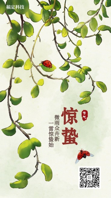 惊蛰/插画/手机海报预览效果