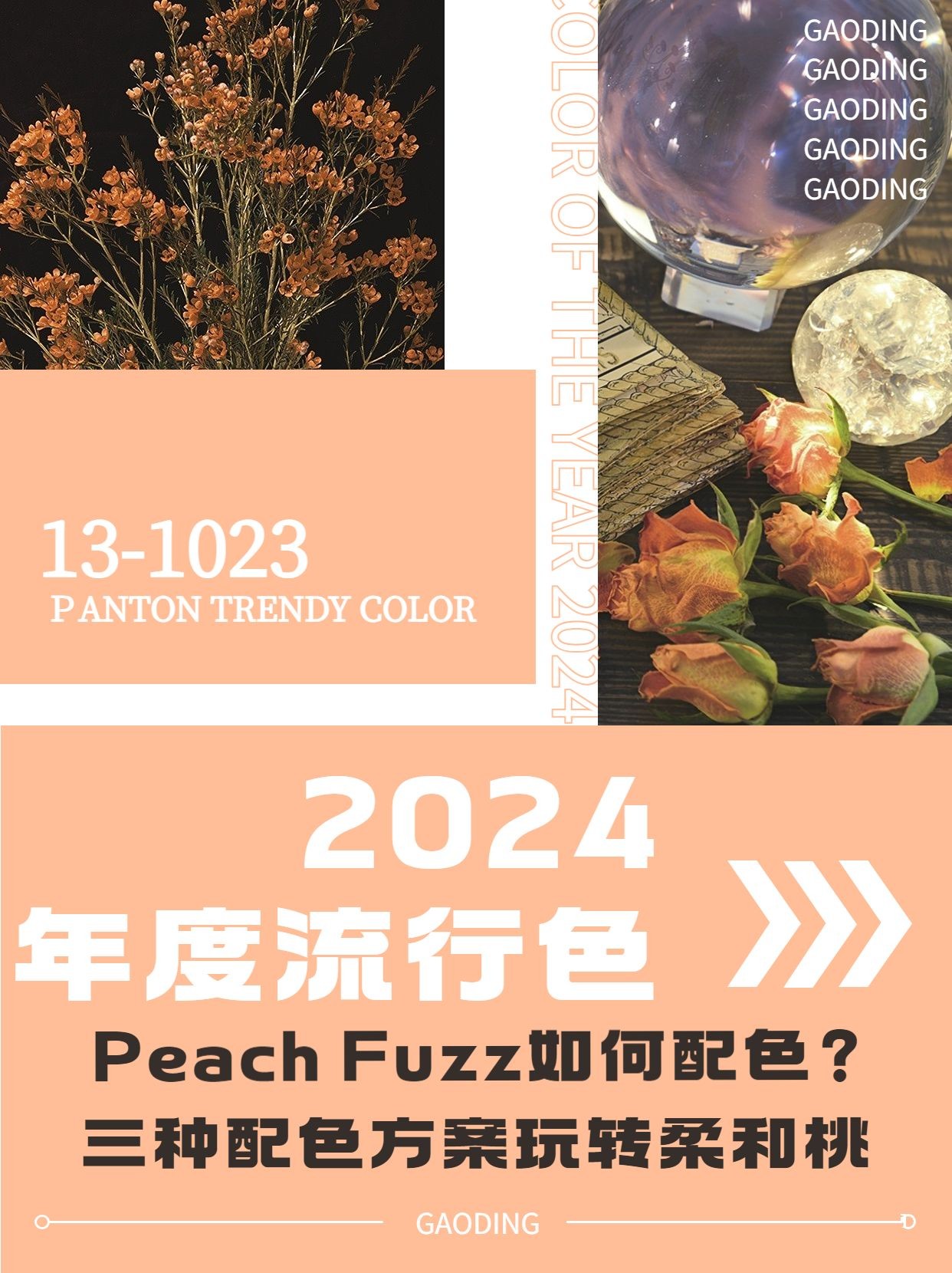 2024流行色柔和桃话题讨论小红书封面配图预览效果
