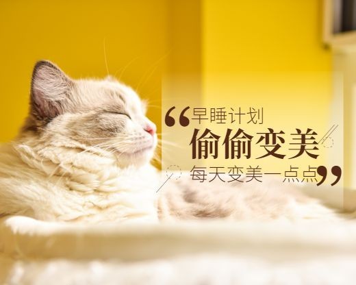 萌宠/猫咪/早睡变美美容计划小程序封面预览效果