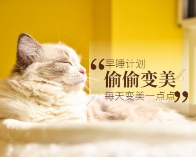萌宠/猫咪/早睡变美美容计划小程序封面