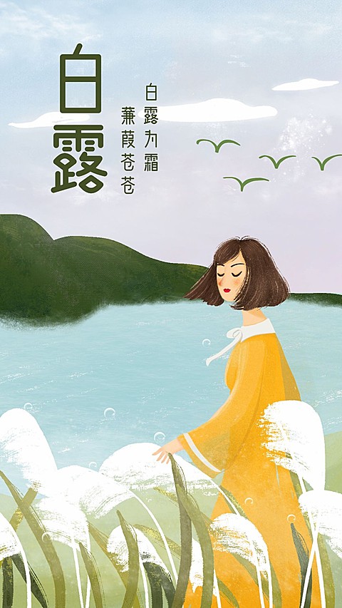白露/插画手机海报