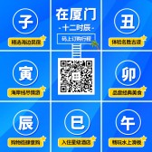 模板缩略图