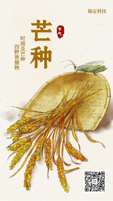 芒种/节气/插画/手机海报预览效果