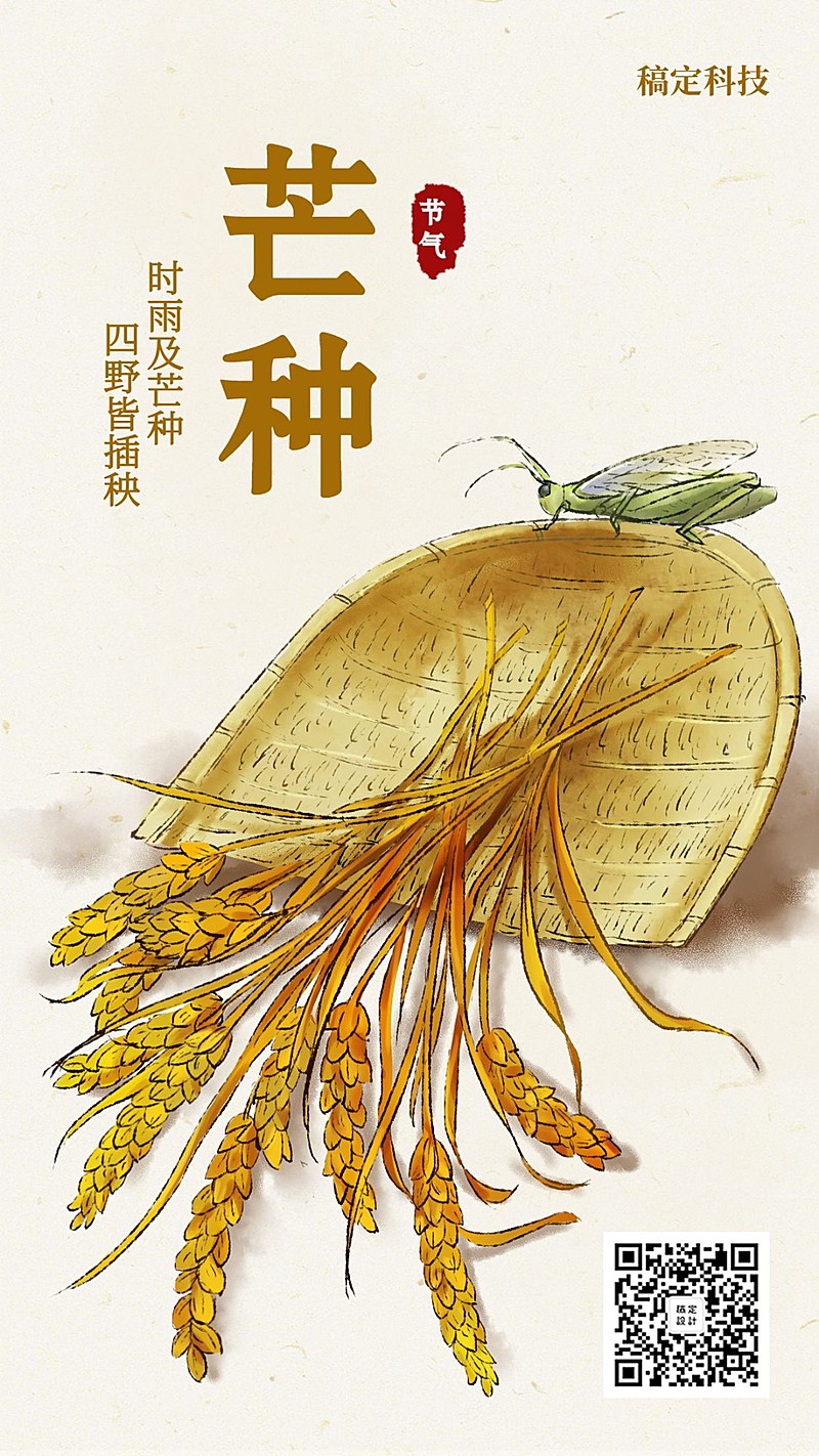 芒种/节气/插画/手机海报