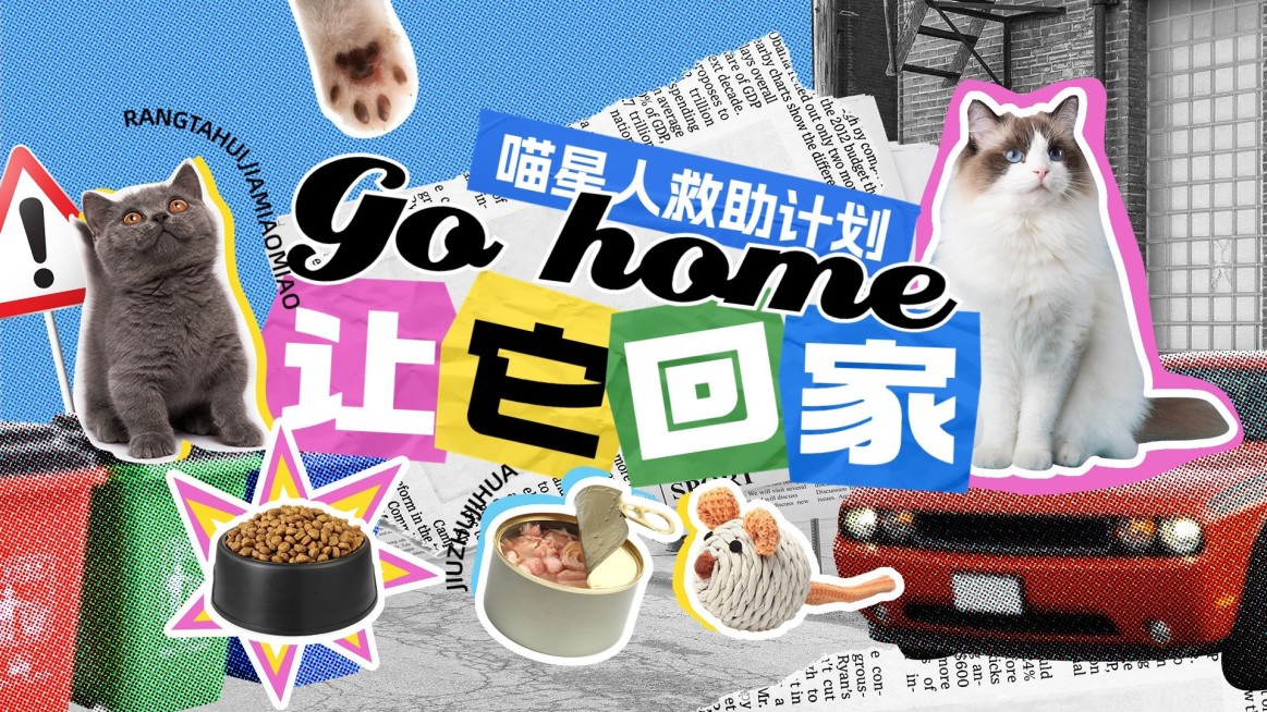 宠物救助宣传横版视频封面预览效果