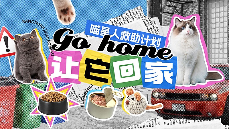 宠物救助宣传横版视频封面