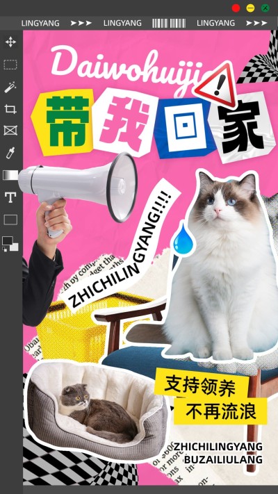 宠物救助领养宣传竖版视频封面