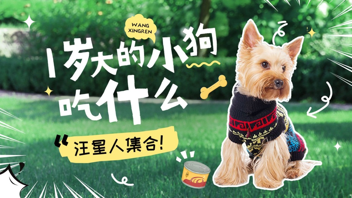 宠物知识科普宣传横版视频封面预览效果