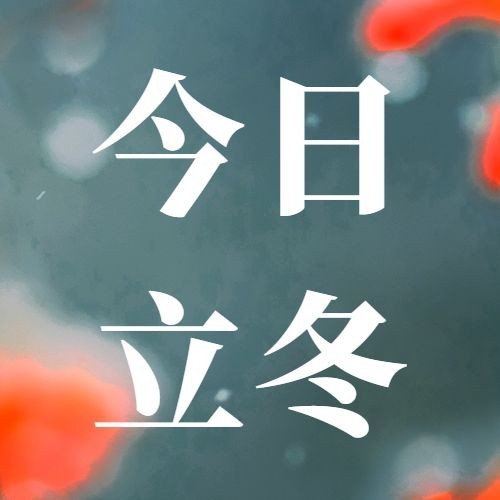 立冬节气实景特写简约公众号次图预览效果