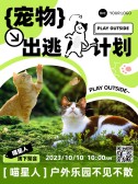 模板缩略图