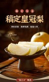 模板缩略图