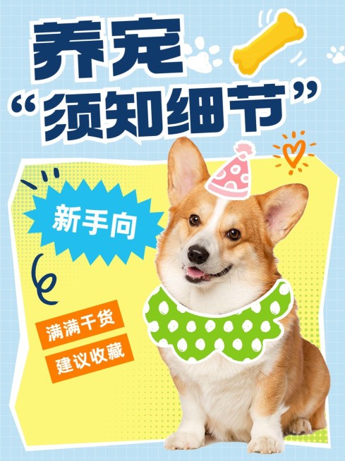 宠物养宠知识科普小红书套装小红书封面预览效果