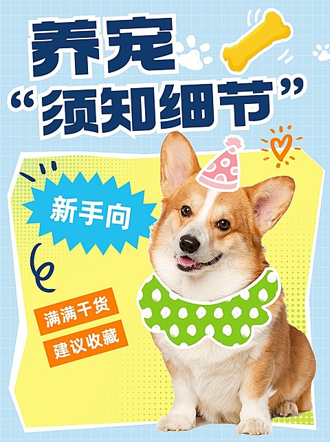 宠物养宠知识科普小红书套装小红书封面