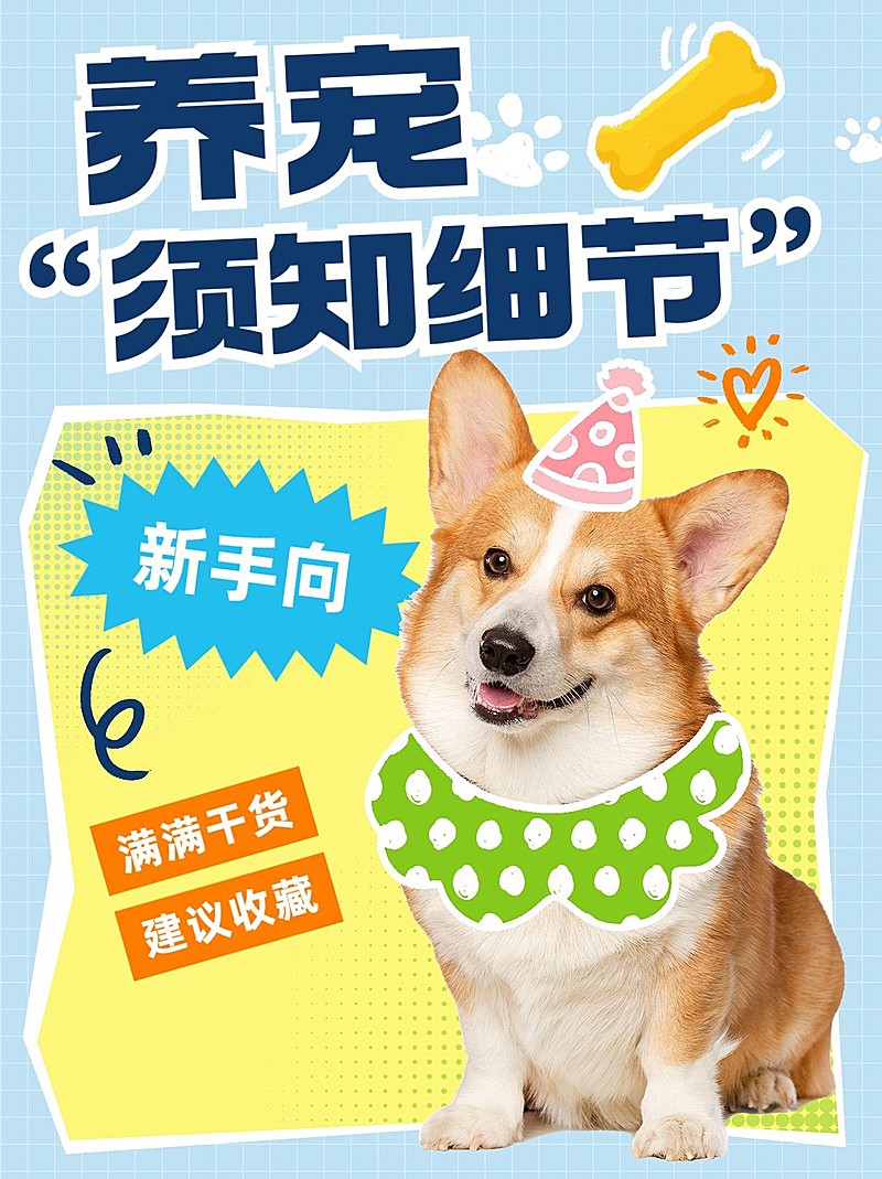 宠物养宠知识科普小红书套装小红书封面